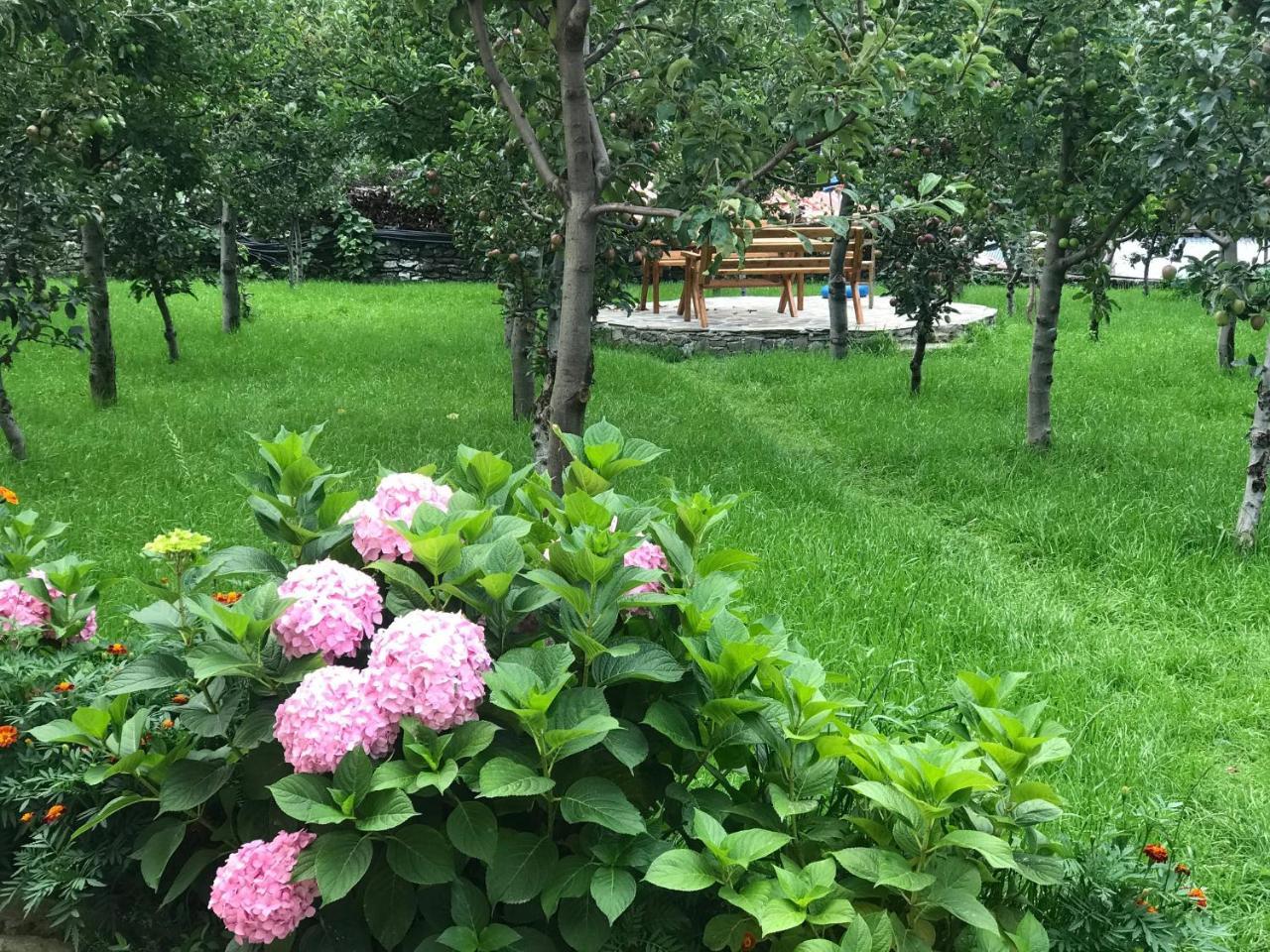 Guest House Sabriu Rabdisht Εξωτερικό φωτογραφία
